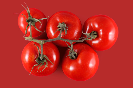 Fotografía de producto